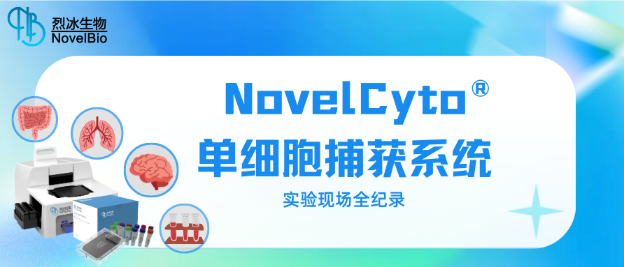 植物單細(xì)胞